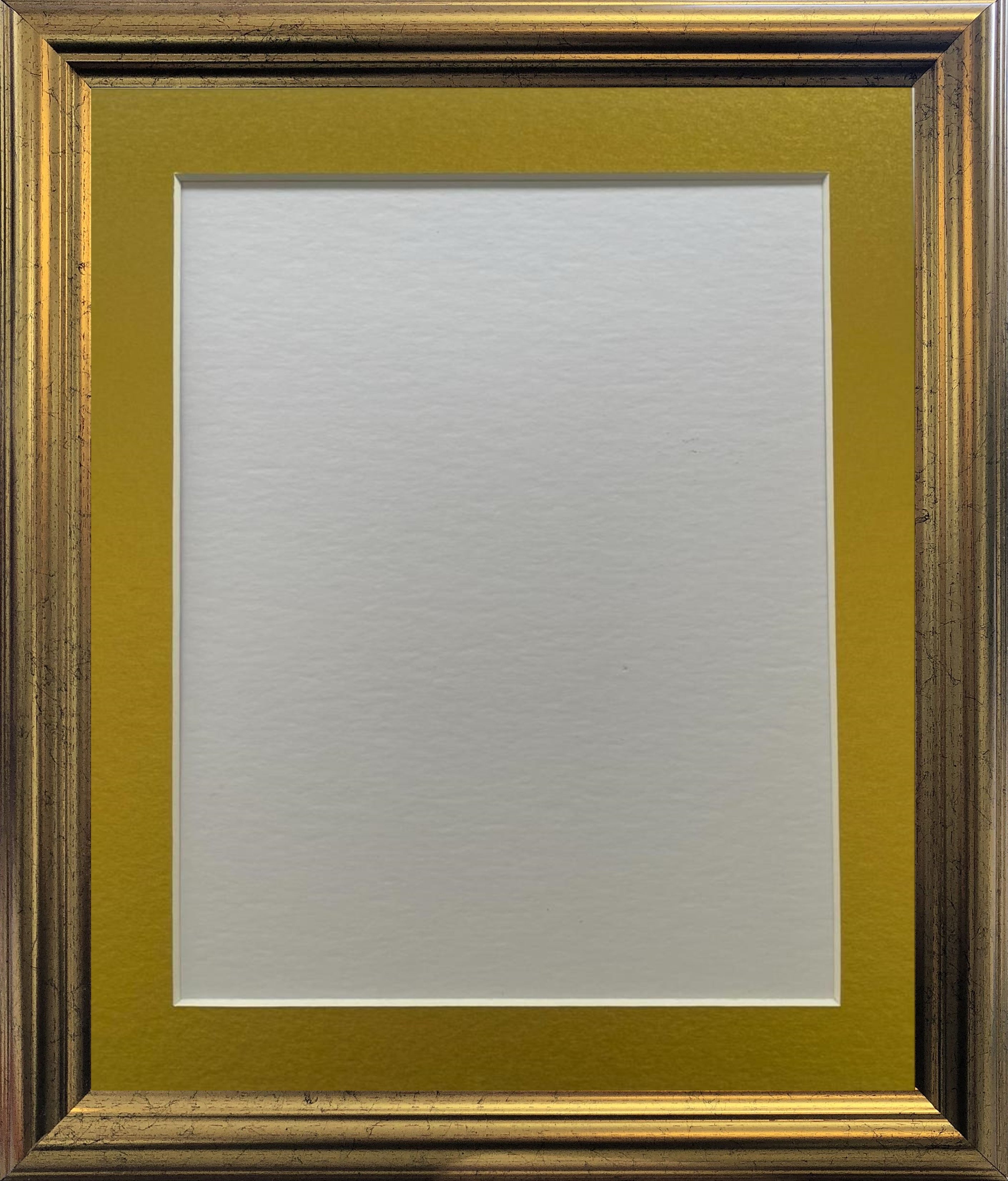 48 Gold Gold Frame