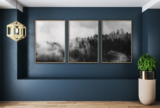 Frames